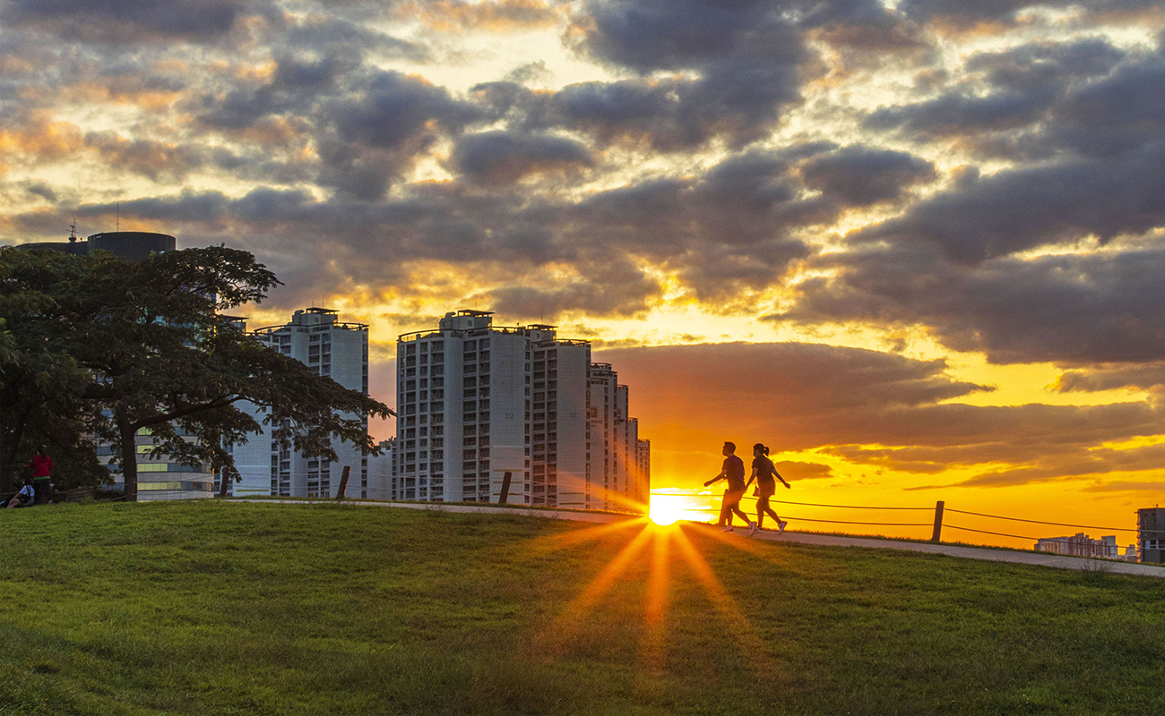 에버랜드 협업 조경 특화 